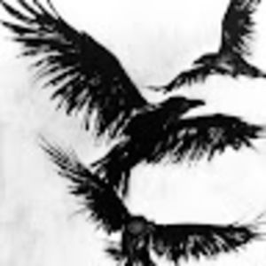 Meet your Posher, Daze